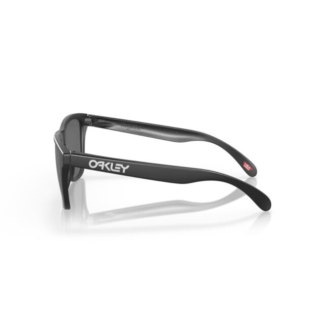 Fotografía de Gafas Oakley Frogskins Matte Black