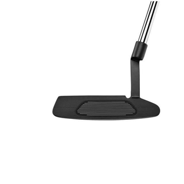 Fotografía de Putter Taylormade TP Black Juno #1